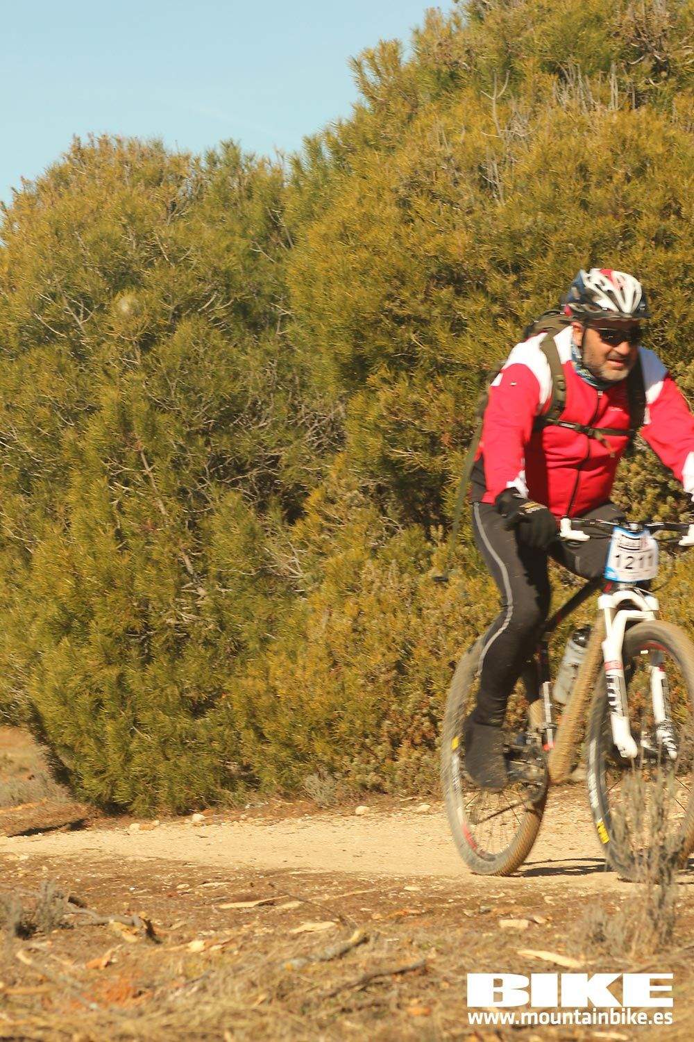 Valdemorillo 2015 Galeria 8