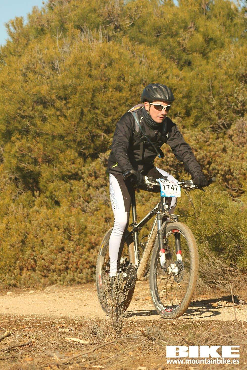 Valdemorillo 2015 Galeria 8