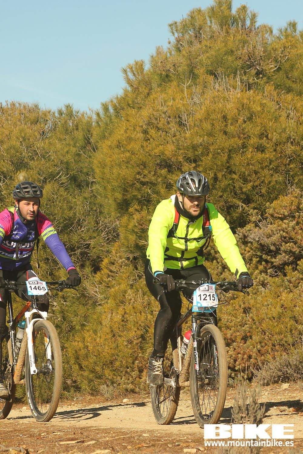 Valdemorillo 2015 Galeria 8