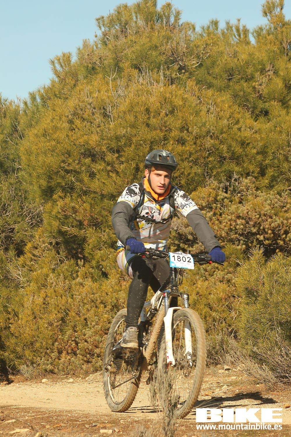 Valdemorillo 2015 Galeria 8