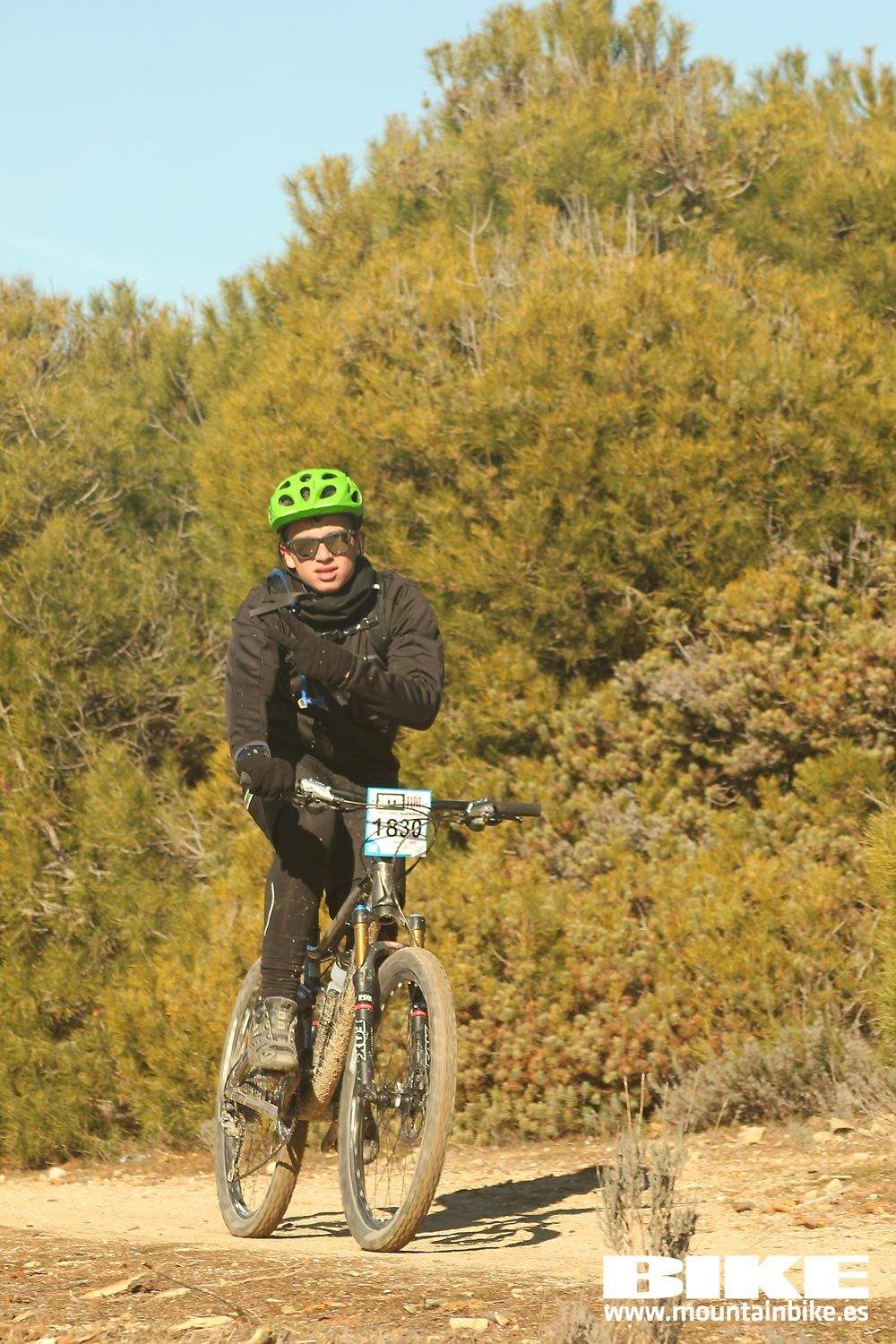Valdemorillo 2015 Galeria 8