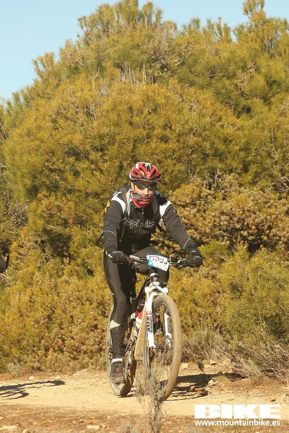 Valdemorillo 2015 Galeria 8