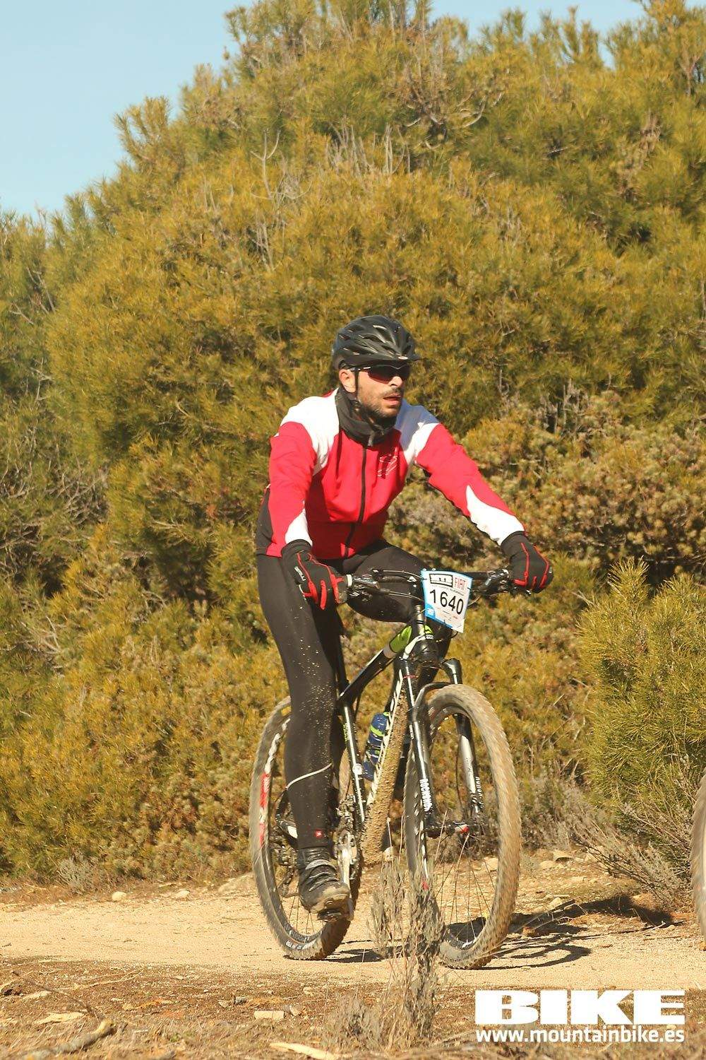 Valdemorillo 2015 Galeria 8