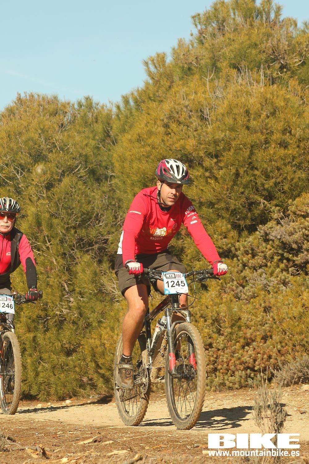 Valdemorillo 2015 Galeria 8