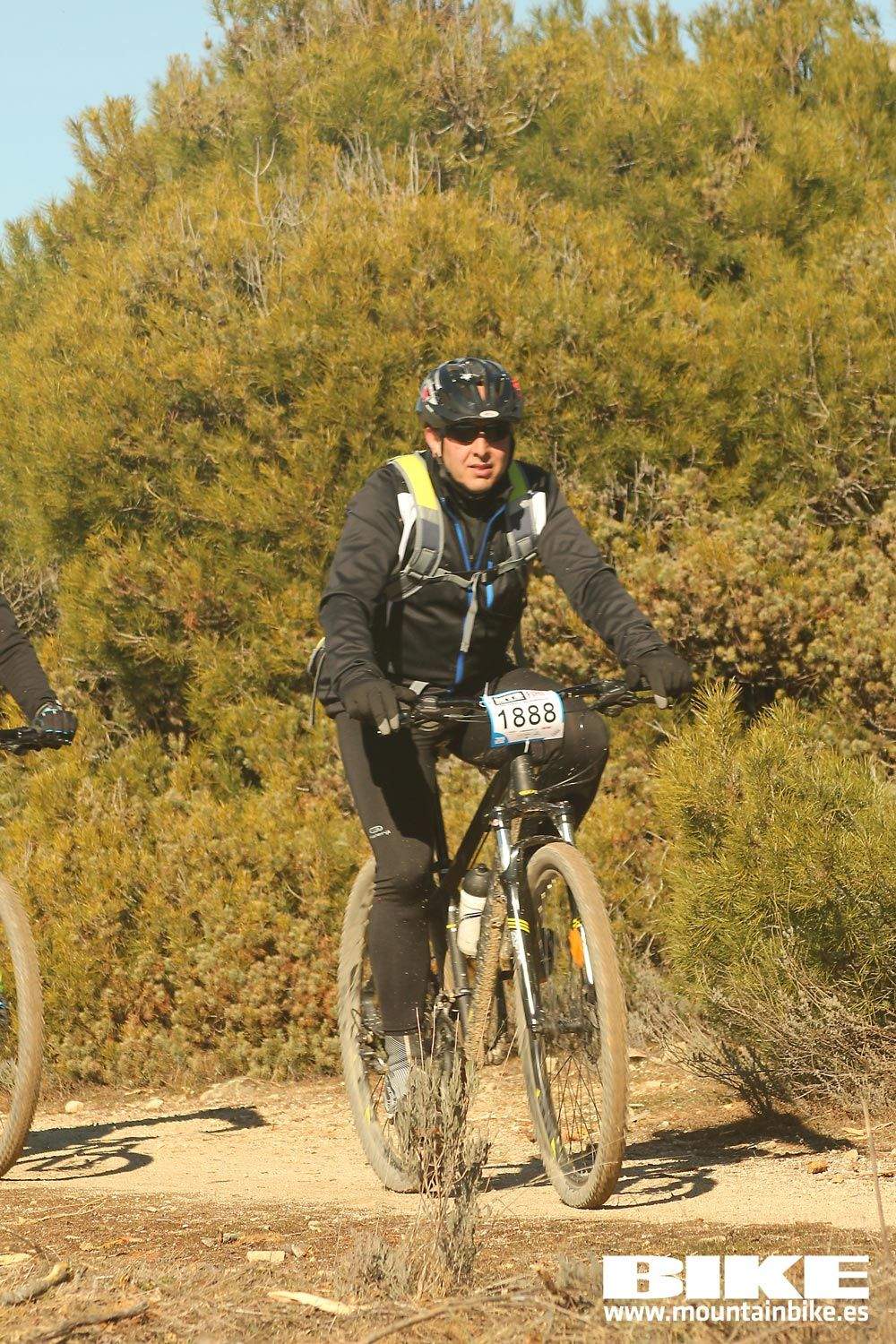 Valdemorillo 2015 Galeria 8