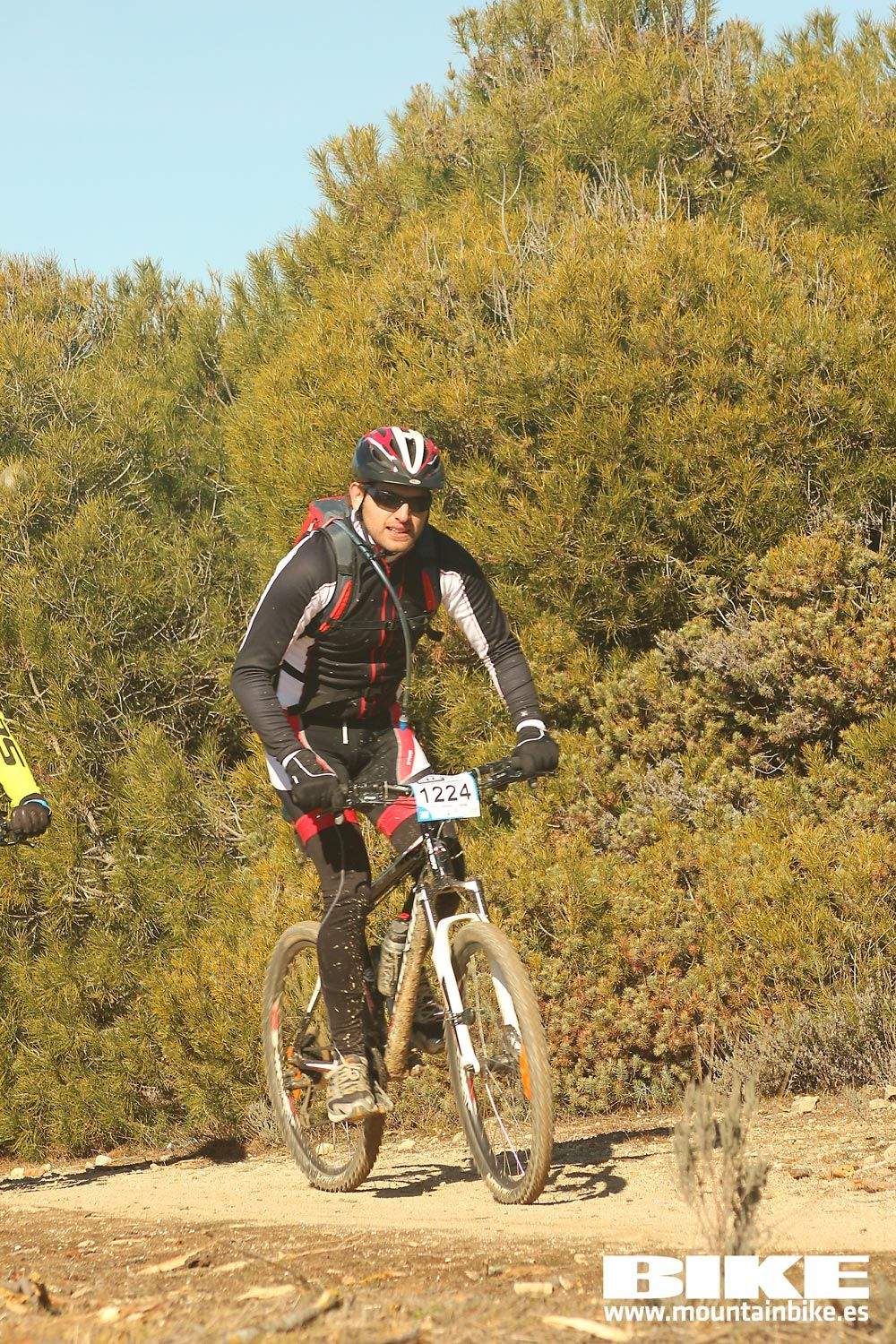 Valdemorillo 2015 Galeria 8