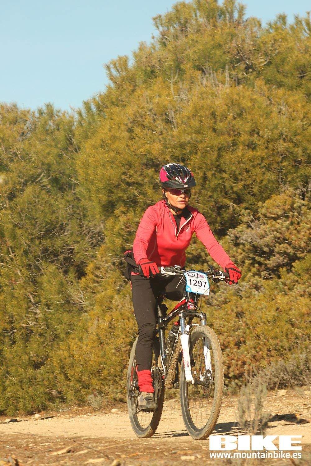 Valdemorillo 2015 Galeria 8