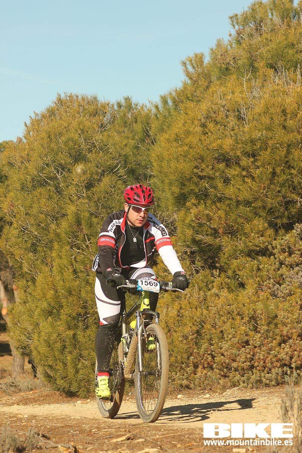 Valdemorillo 2015 Galeria 8