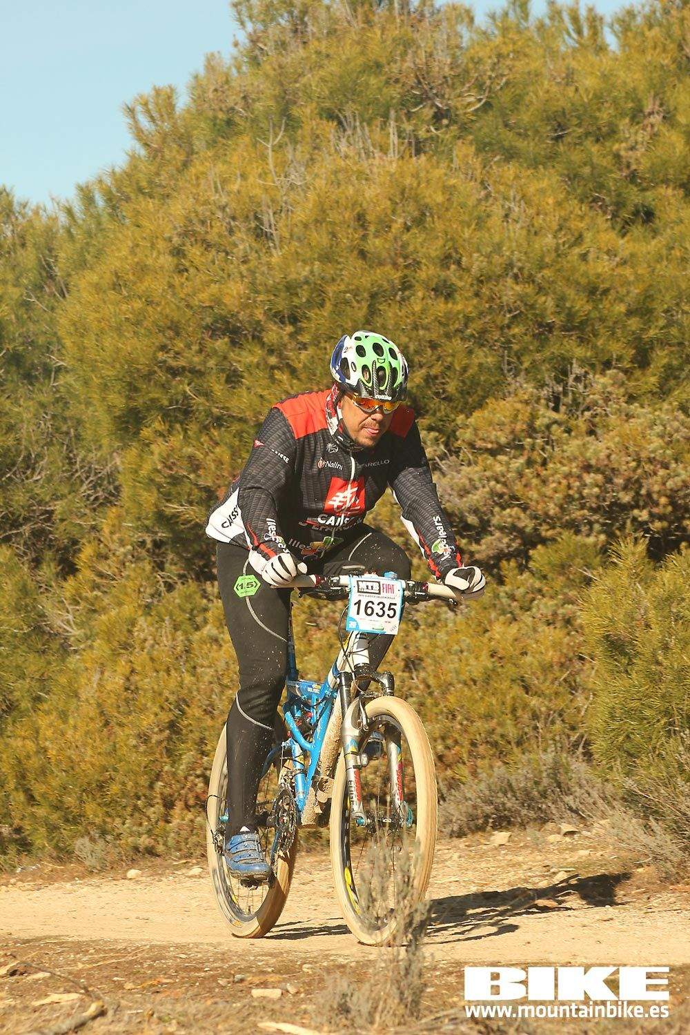 Valdemorillo 2015 Galeria 8