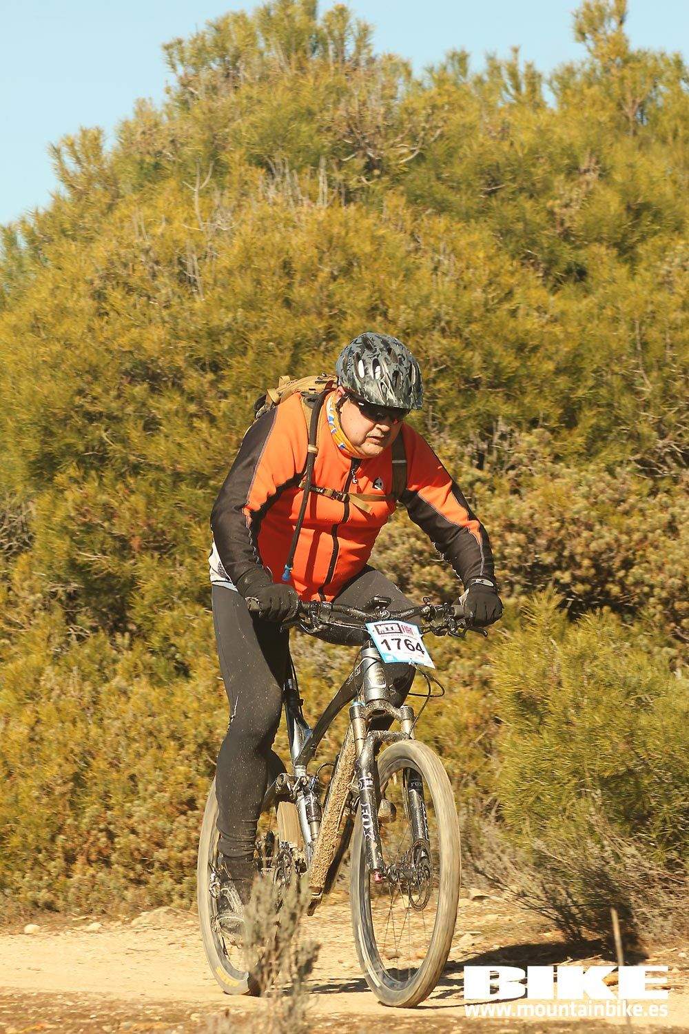 Valdemorillo 2015 Galeria 8