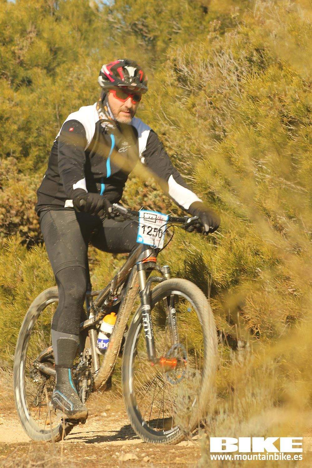Valdemorillo 2015 Galeria 8