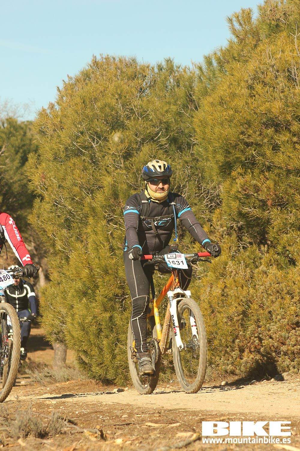 Valdemorillo 2015 Galeria 8