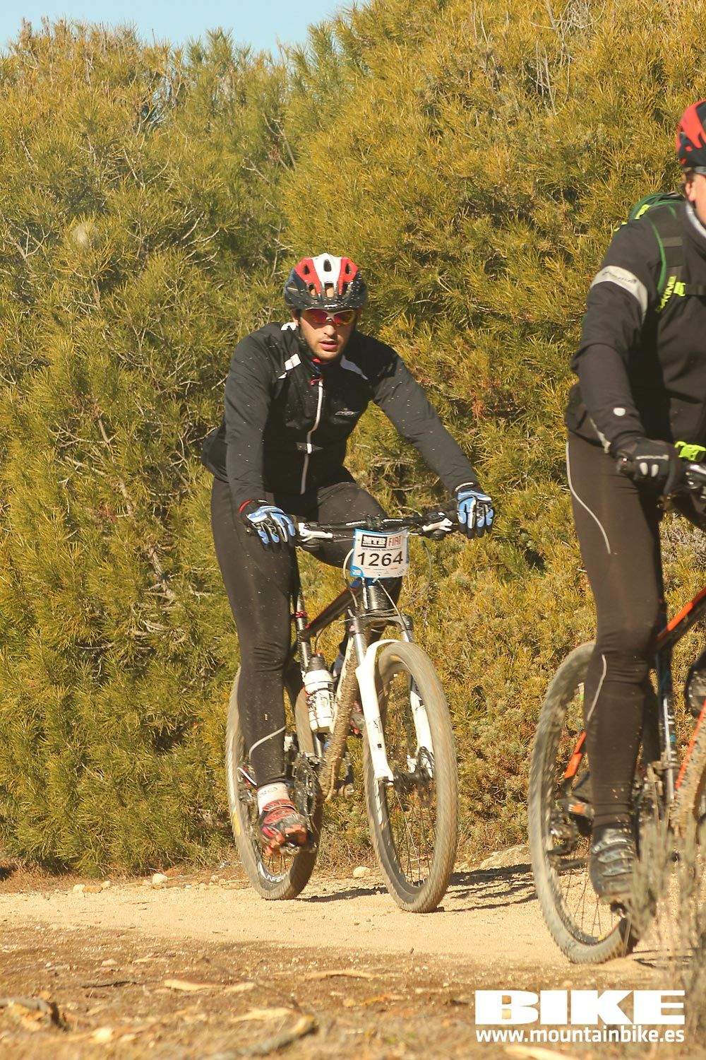 Valdemorillo 2015 Galeria 9