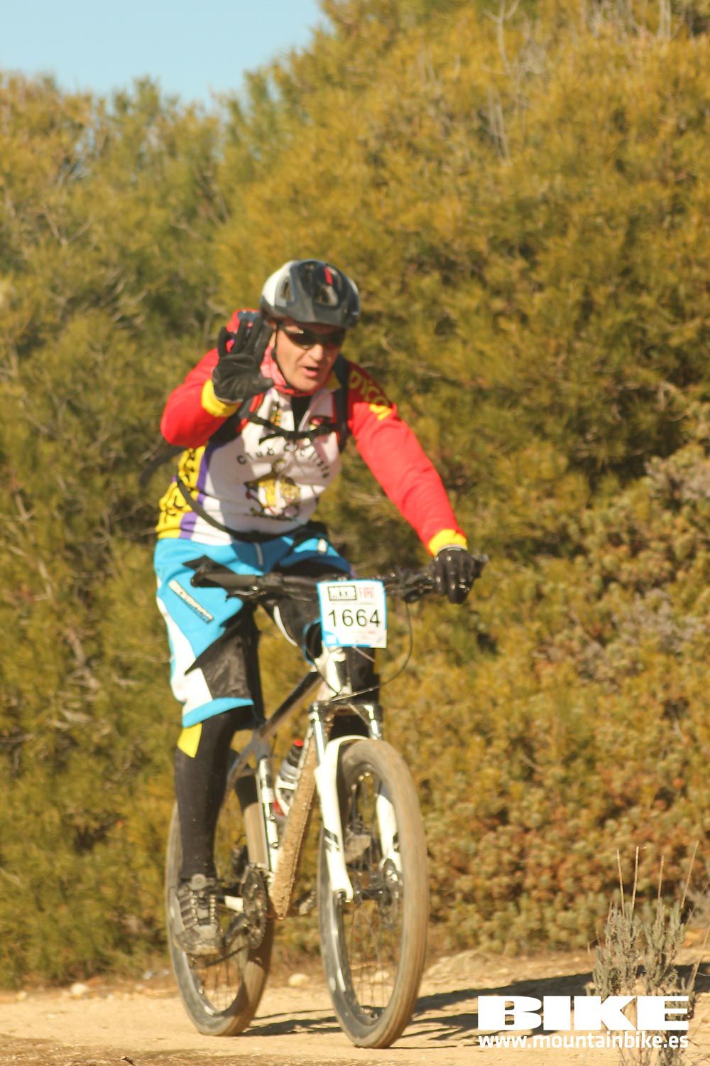 Valdemorillo 2015 Galeria 9