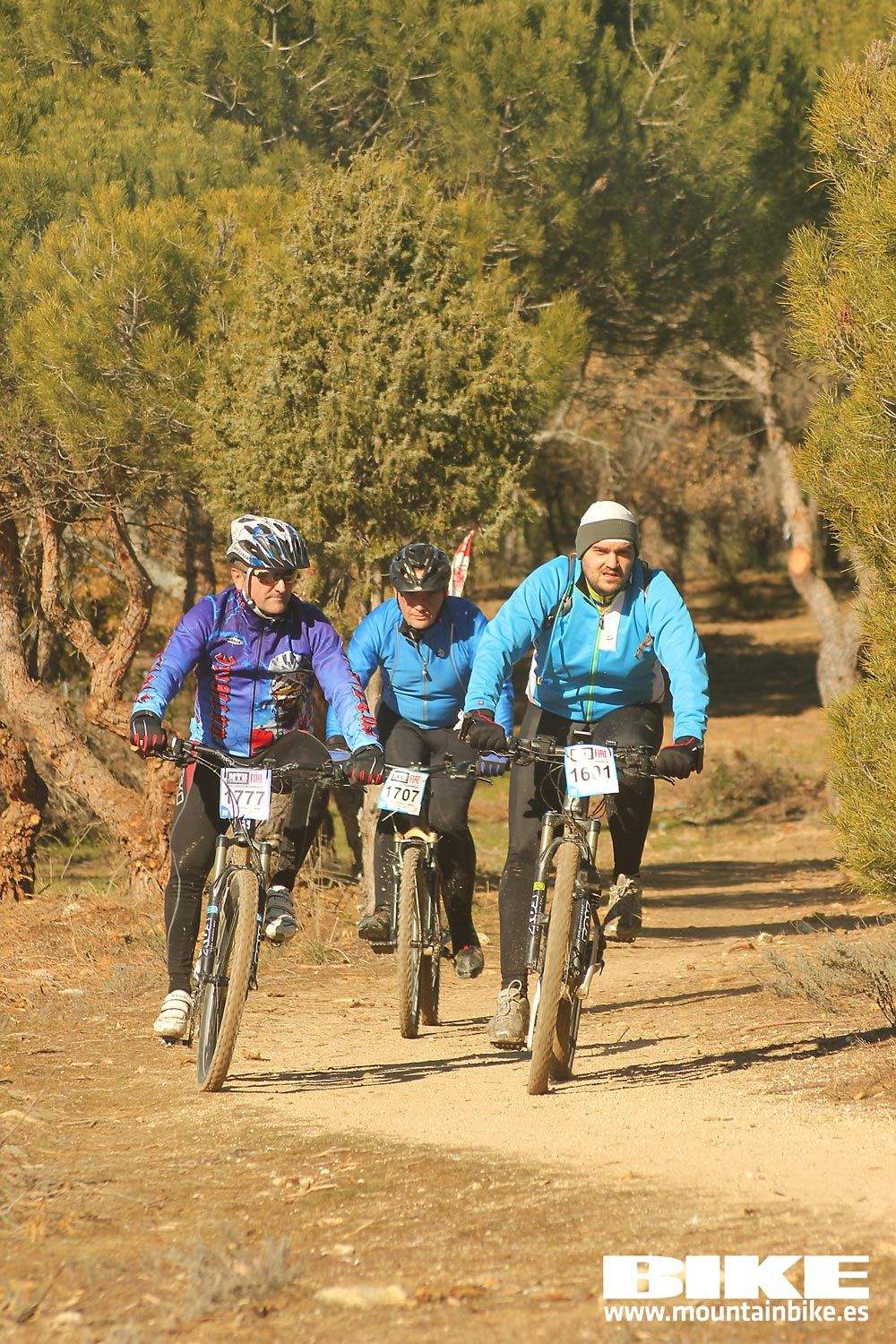 Valdemorillo 2015 Galeria 9