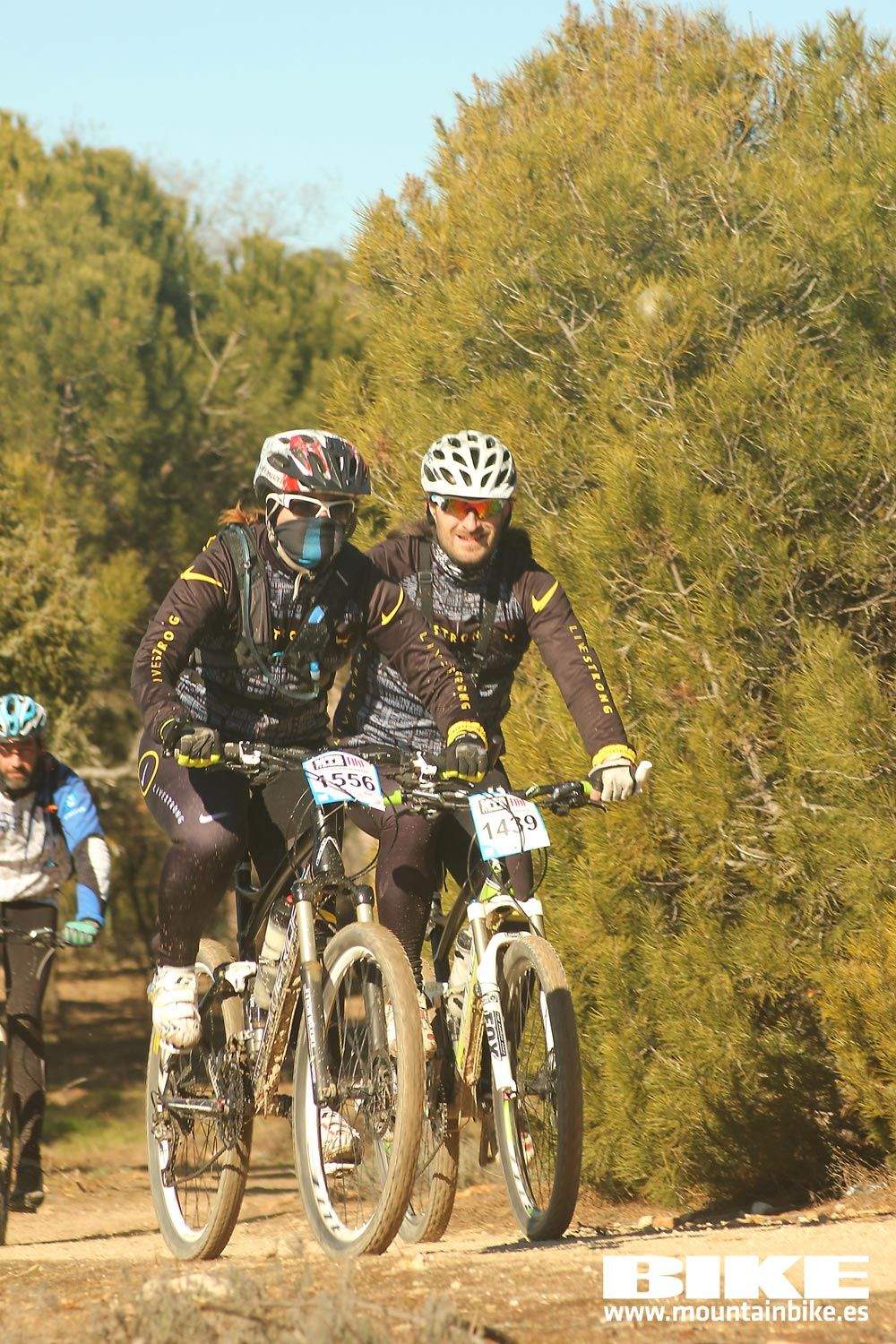 Valdemorillo 2015 Galeria 9