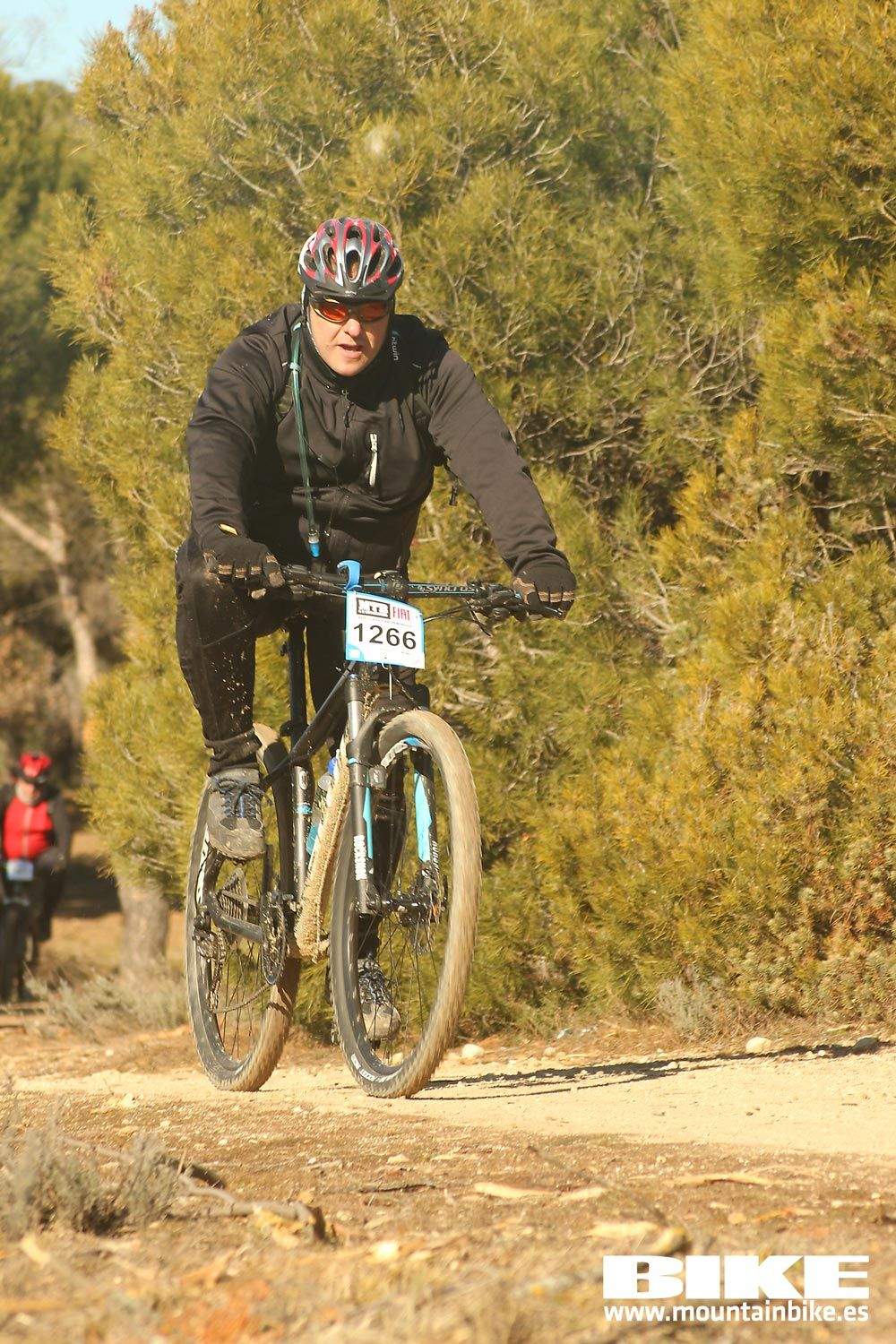 Valdemorillo 2015 Galeria 9