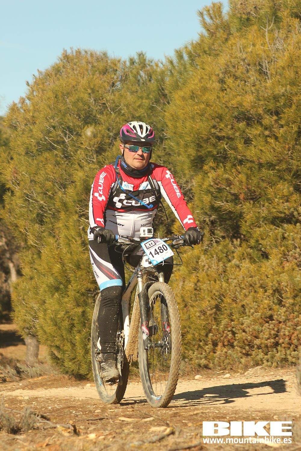 Valdemorillo 2015 Galeria 9