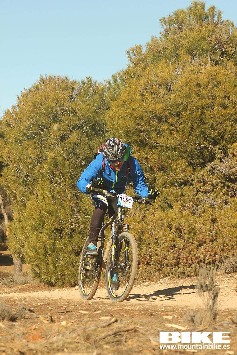 Valdemorillo 2015 Galeria 9