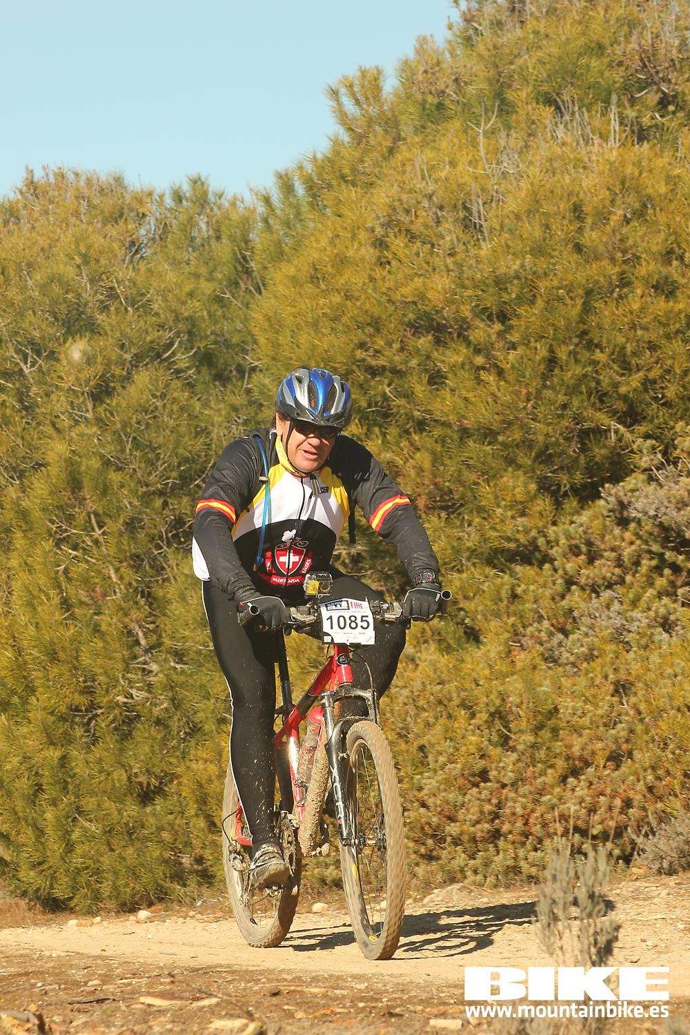 Valdemorillo 2015 Galeria 9