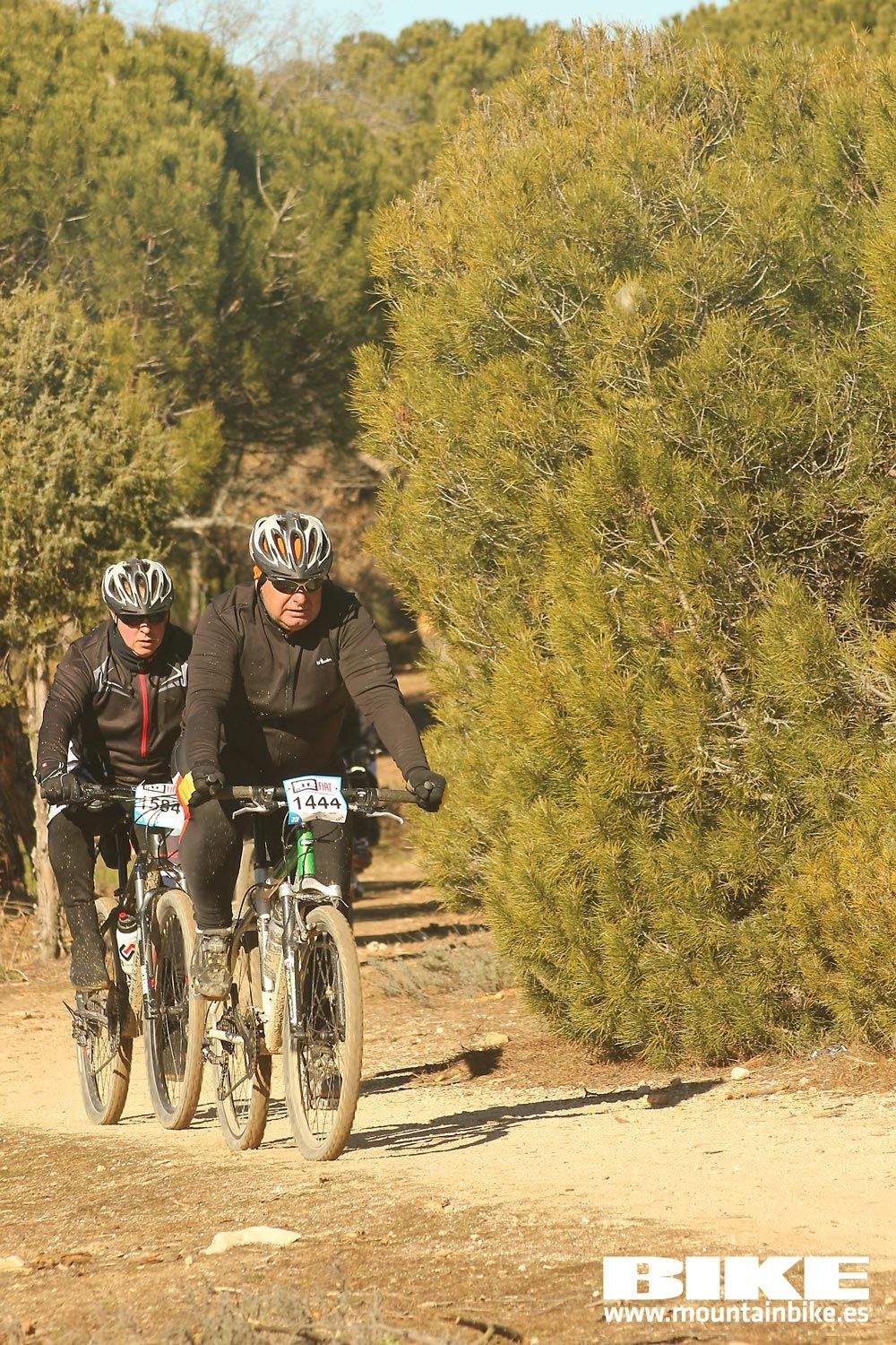 Valdemorillo 2015 Galeria 9