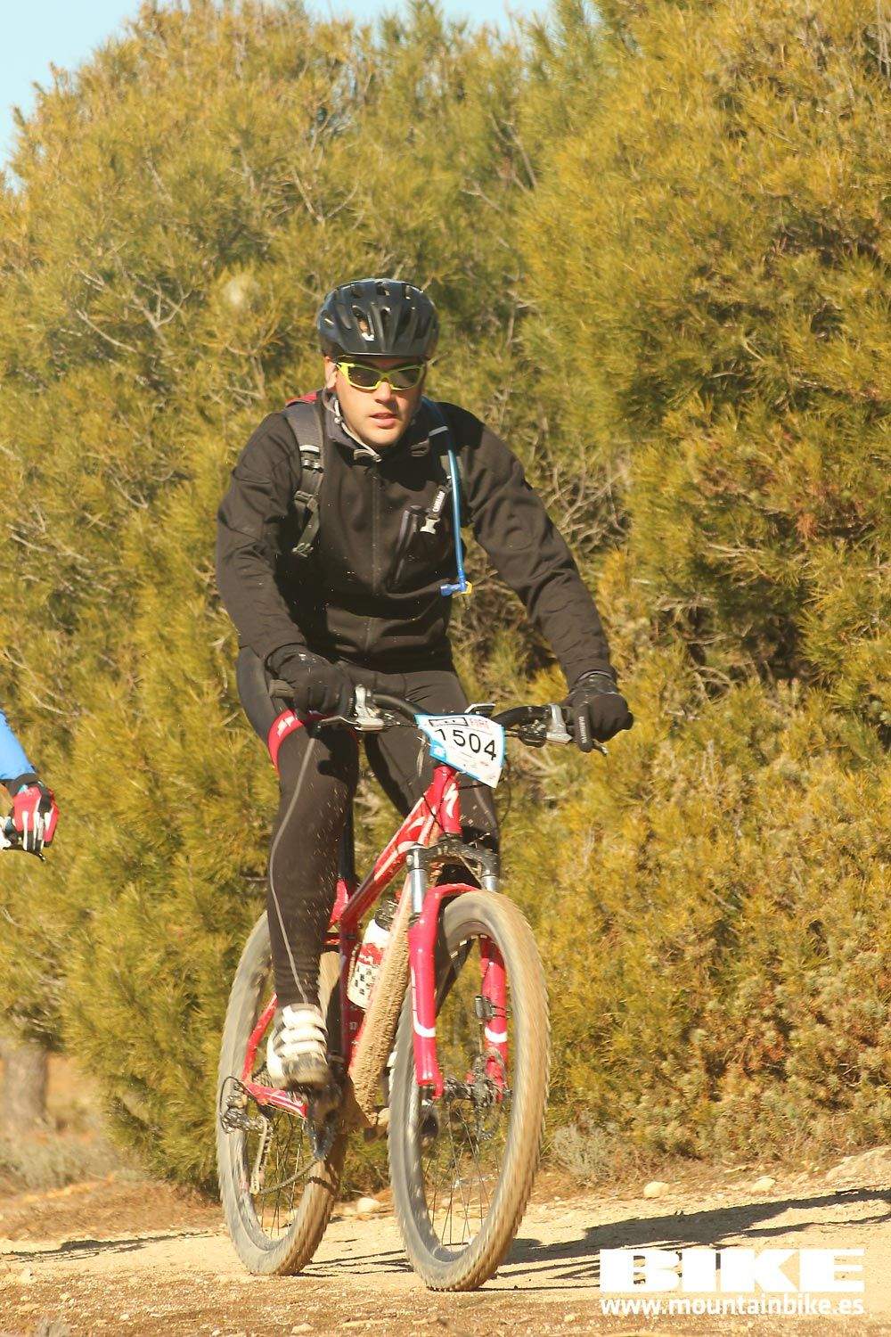 Valdemorillo 2015 Galeria 9