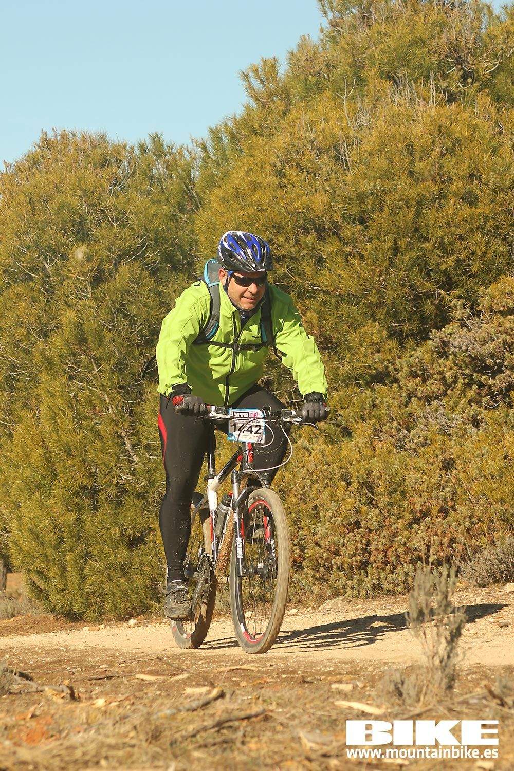 Valdemorillo 2015 Galeria 10