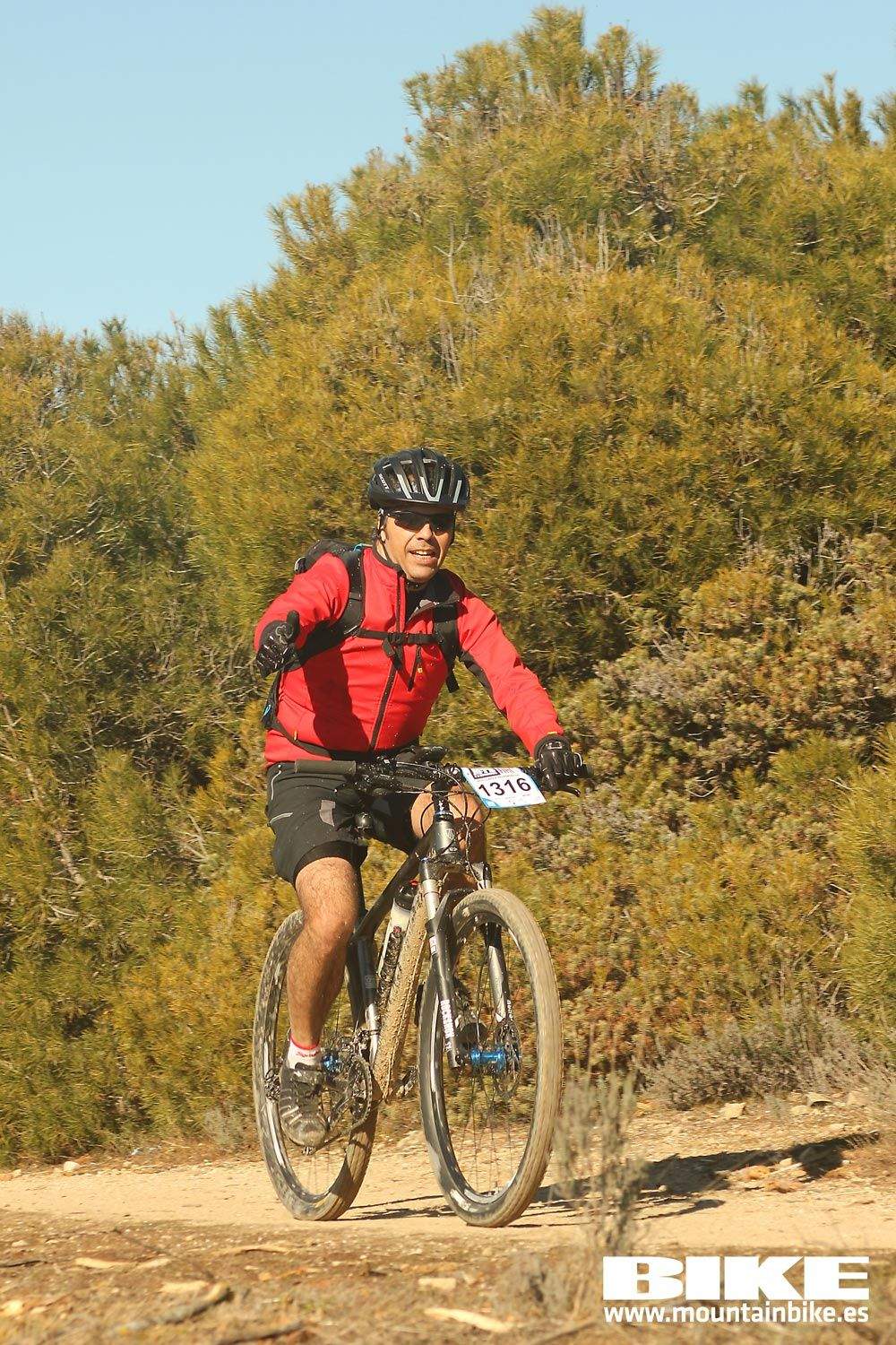 Valdemorillo 2015 Galeria 10