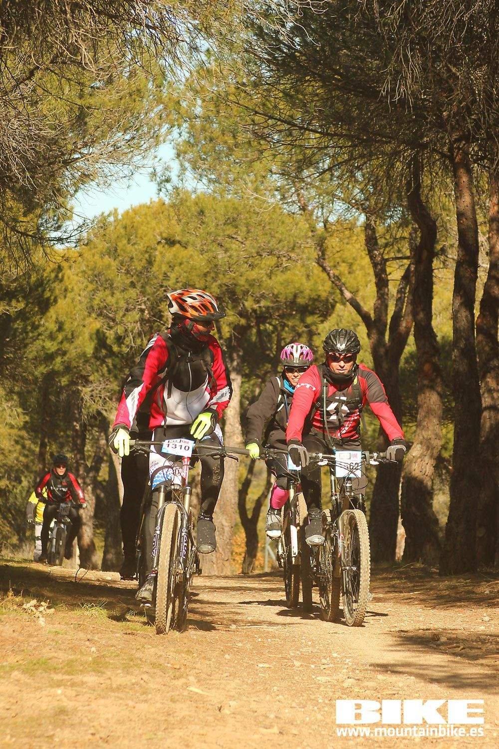 Valdemorillo 2015 Galeria 10