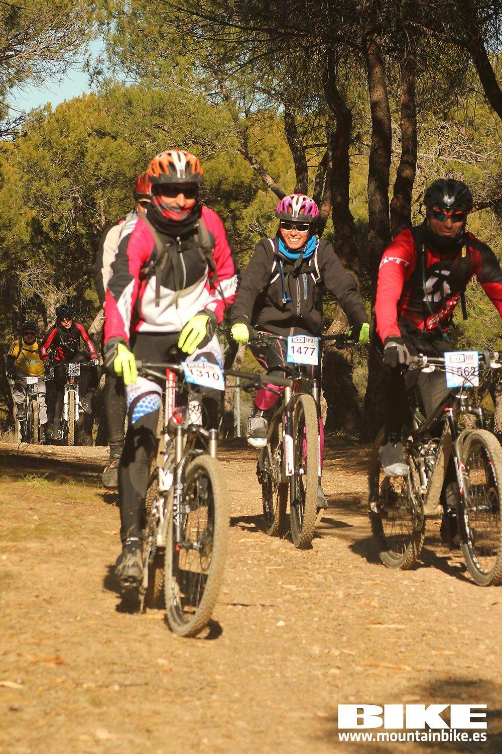 Valdemorillo 2015 Galeria 10