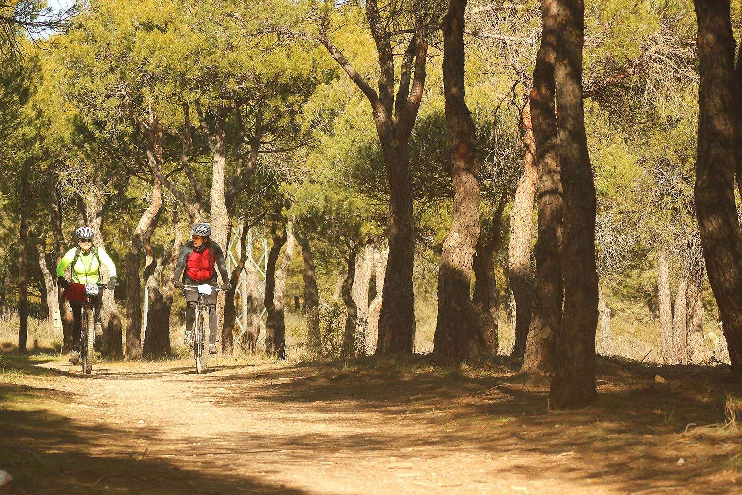 Valdemorillo 2015 Galeria 10