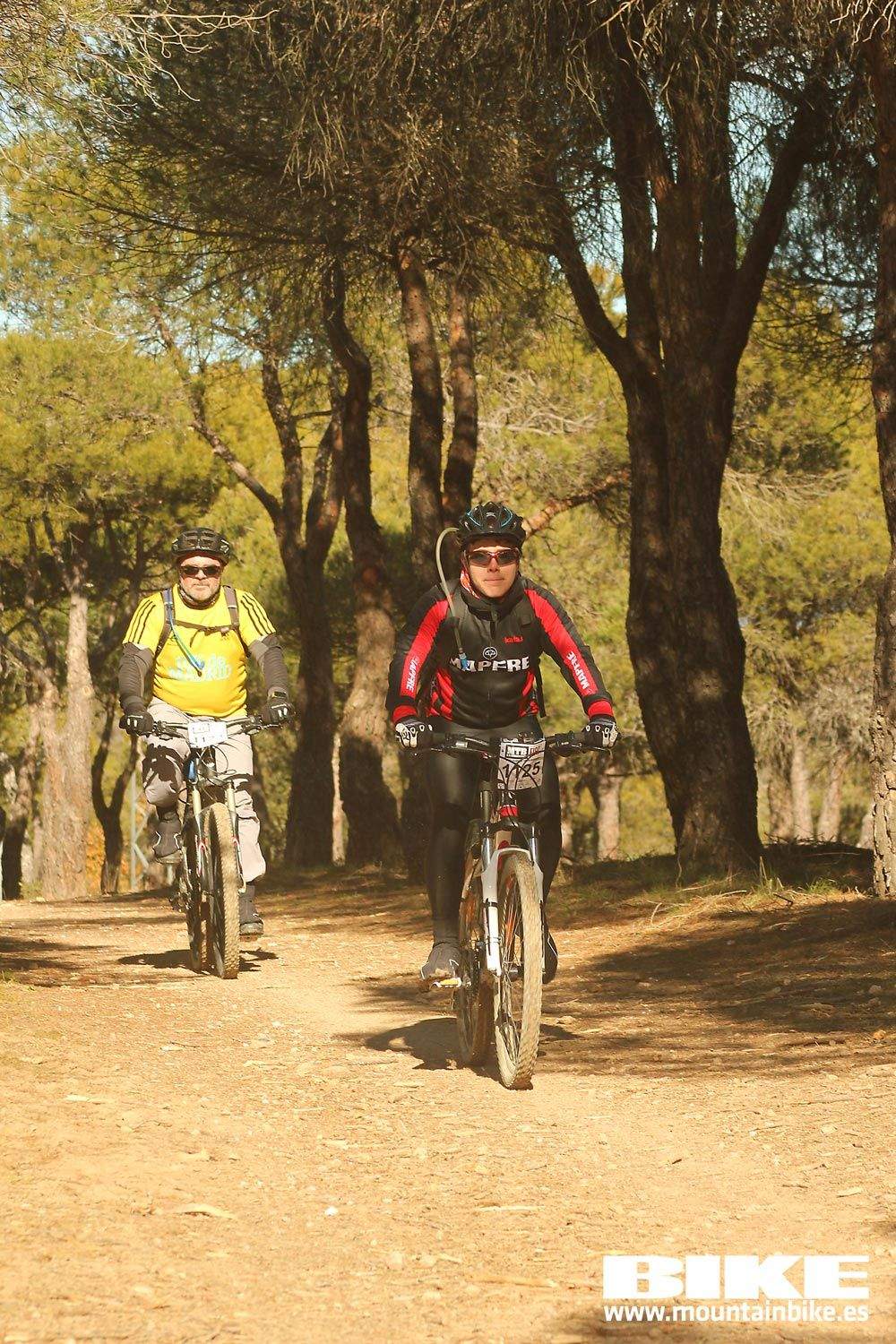 Valdemorillo 2015 Galeria 10