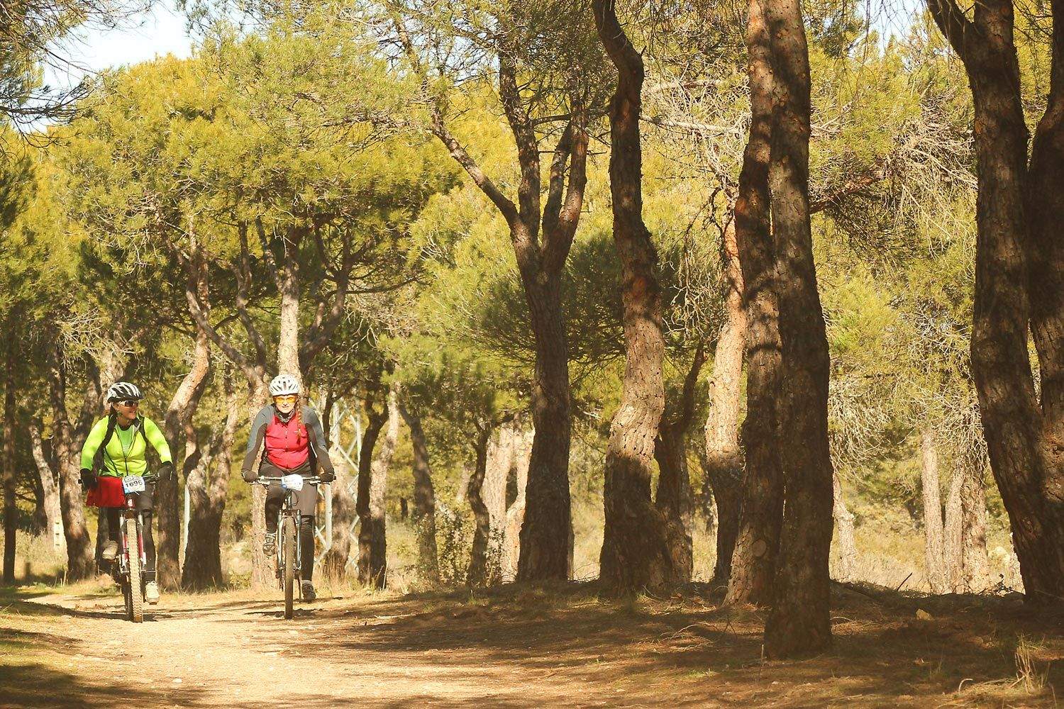 Valdemorillo 2015 Galeria 10