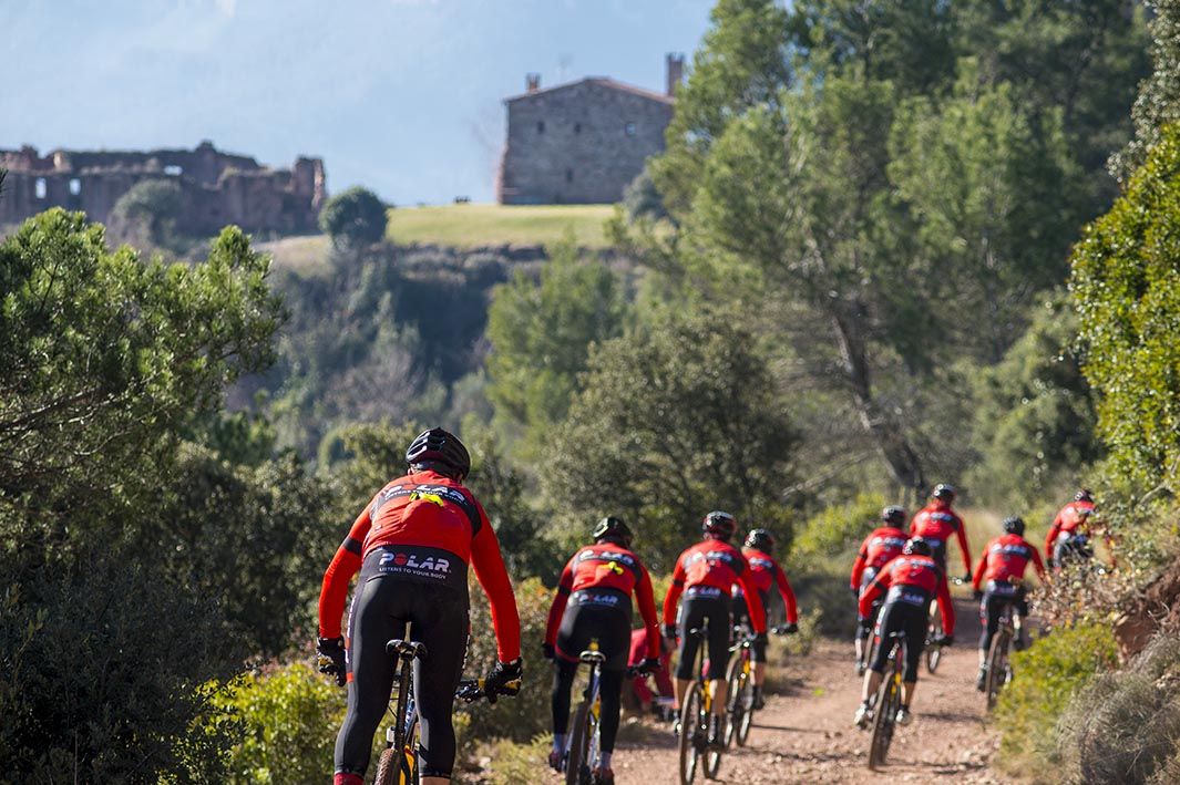 Polar Training Camp 2015