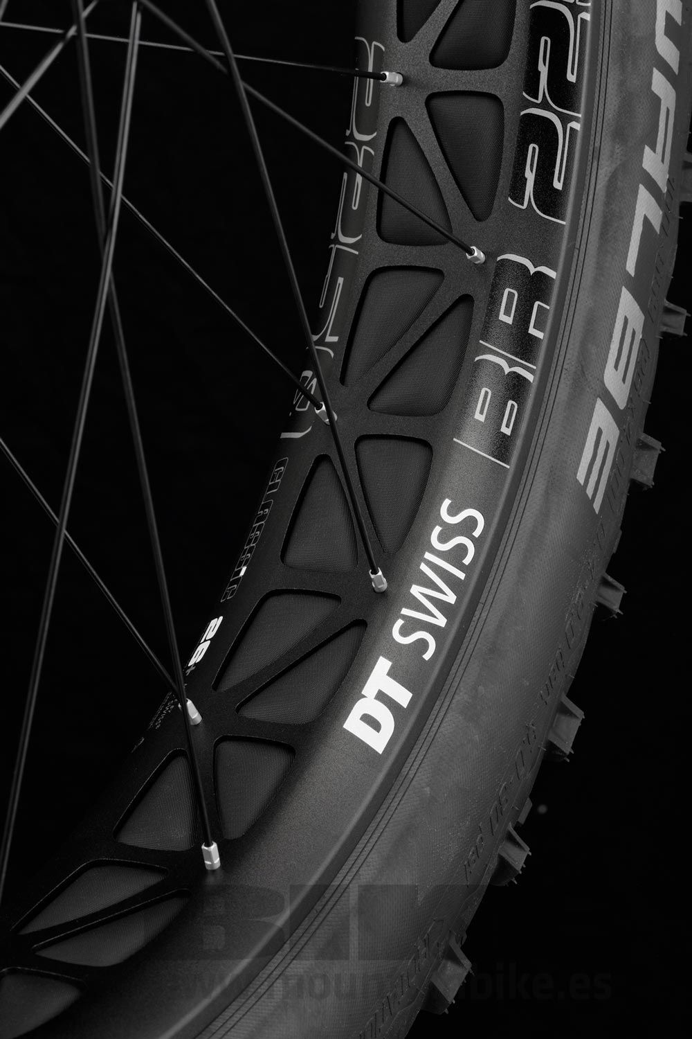 Ruedas DT Swiss BR 2250 Classic Falbike