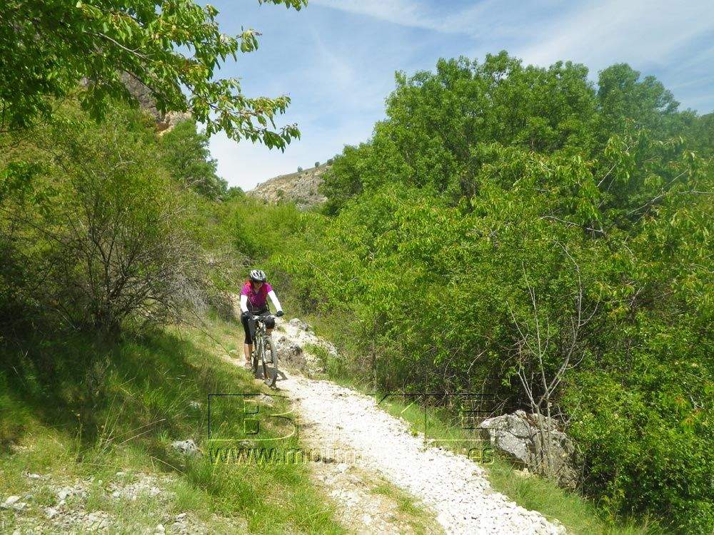 Ruta Río Dulce