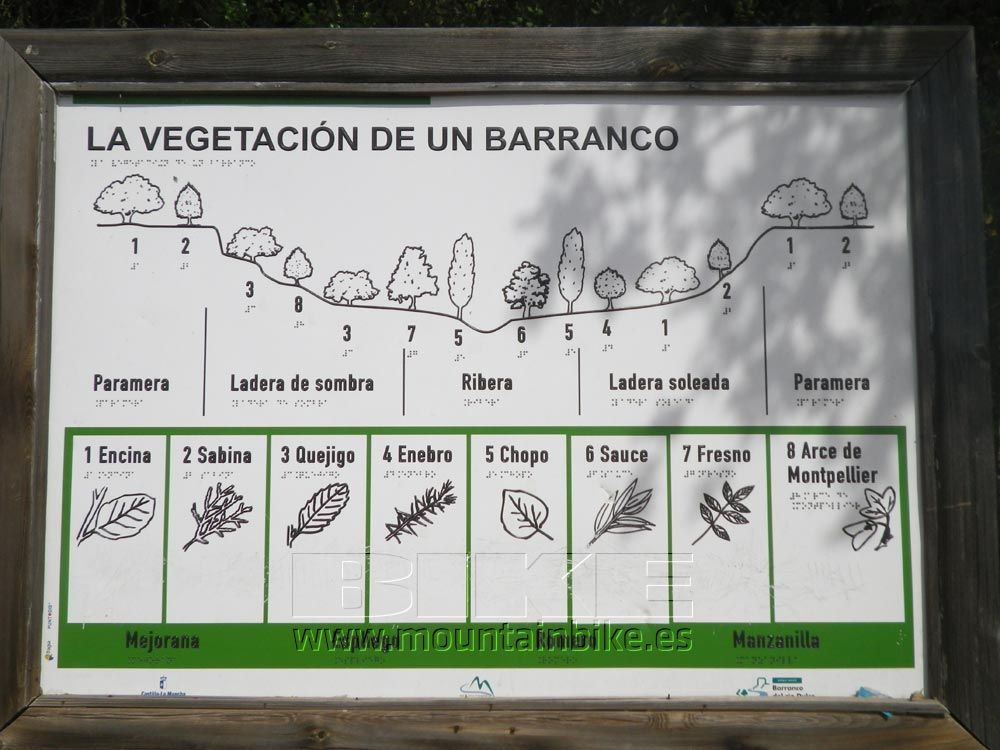 Ruta Río Dulce