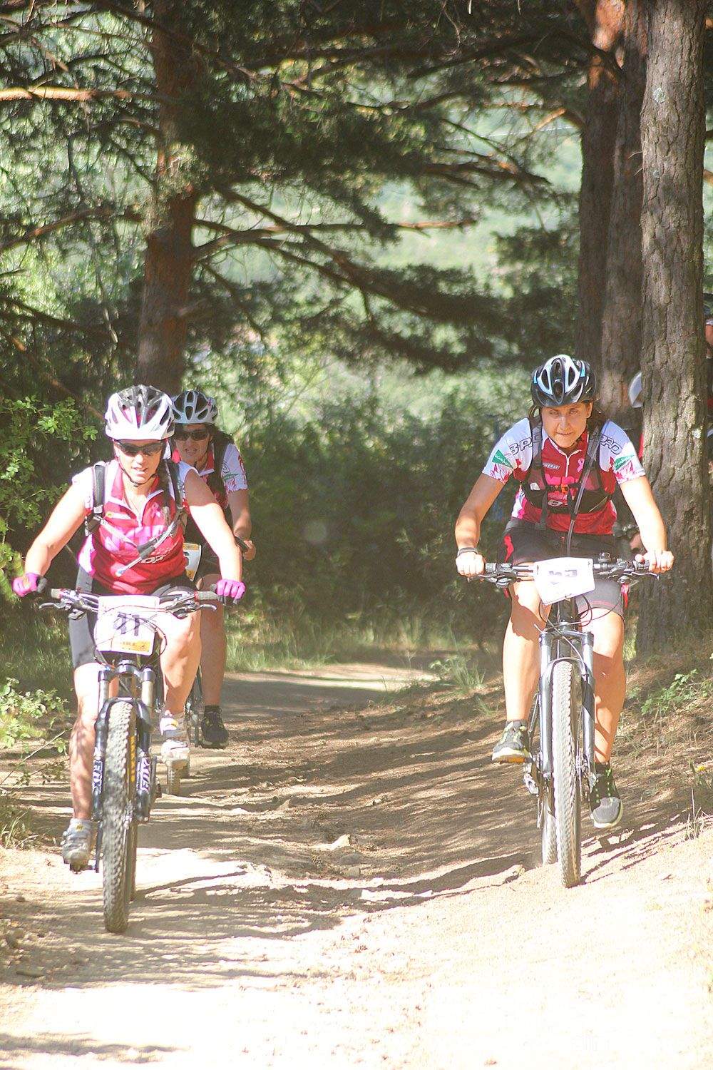Test The Best 2015 MTB Mujer 1