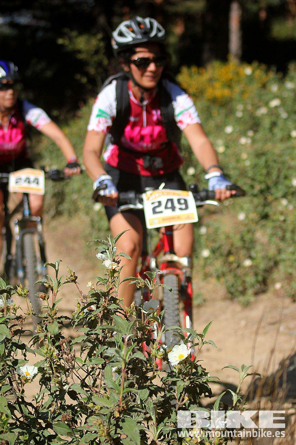 Test The Best 2015 MTB Mujer 2