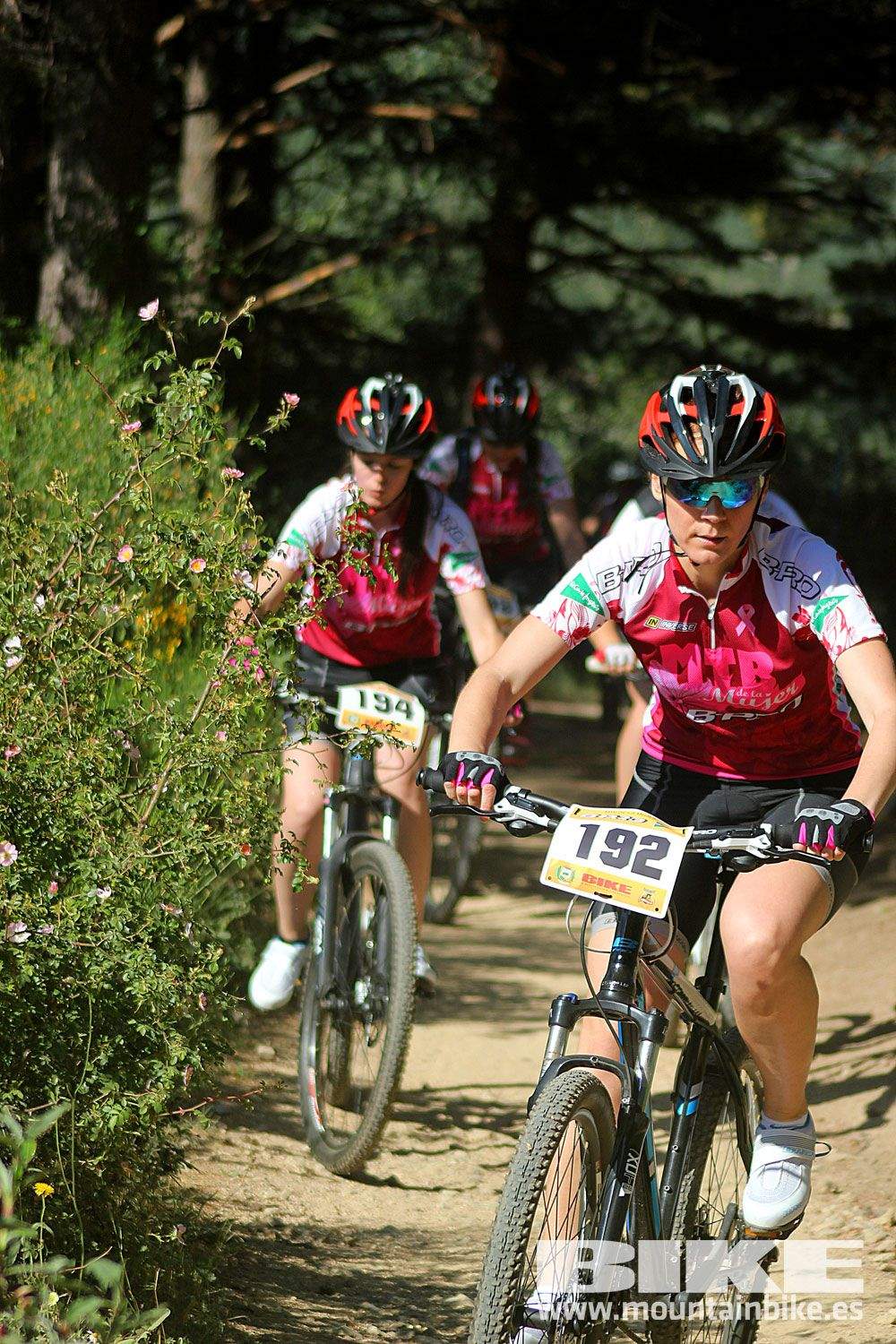 Test The Best 2015 MTB Mujer 2