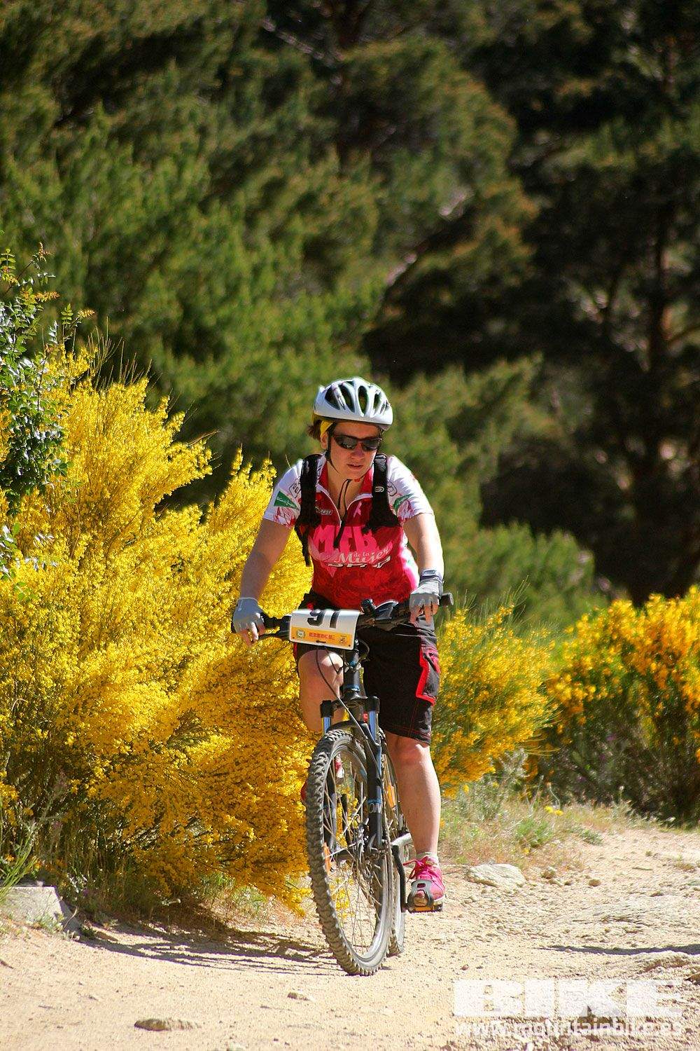 Test The Best 2015 MTB Mujer 3