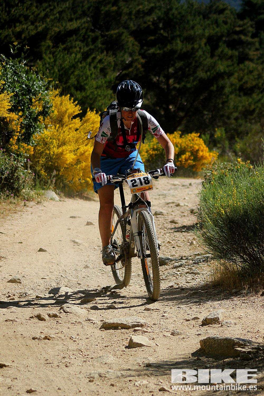Test The Best 2015 MTB Mujer 3