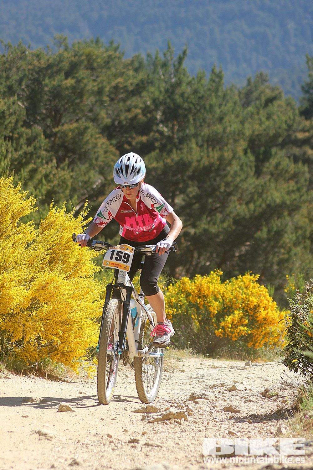 Test The Best 2015 MTB Mujer 3