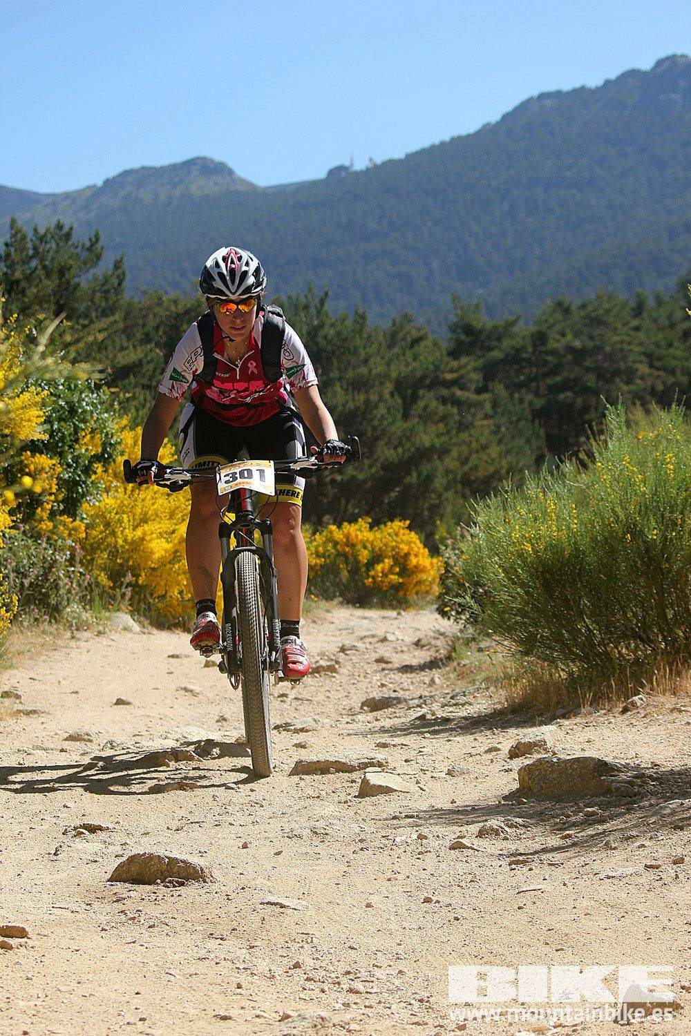 Test The Best 2015 MTB Mujer 4