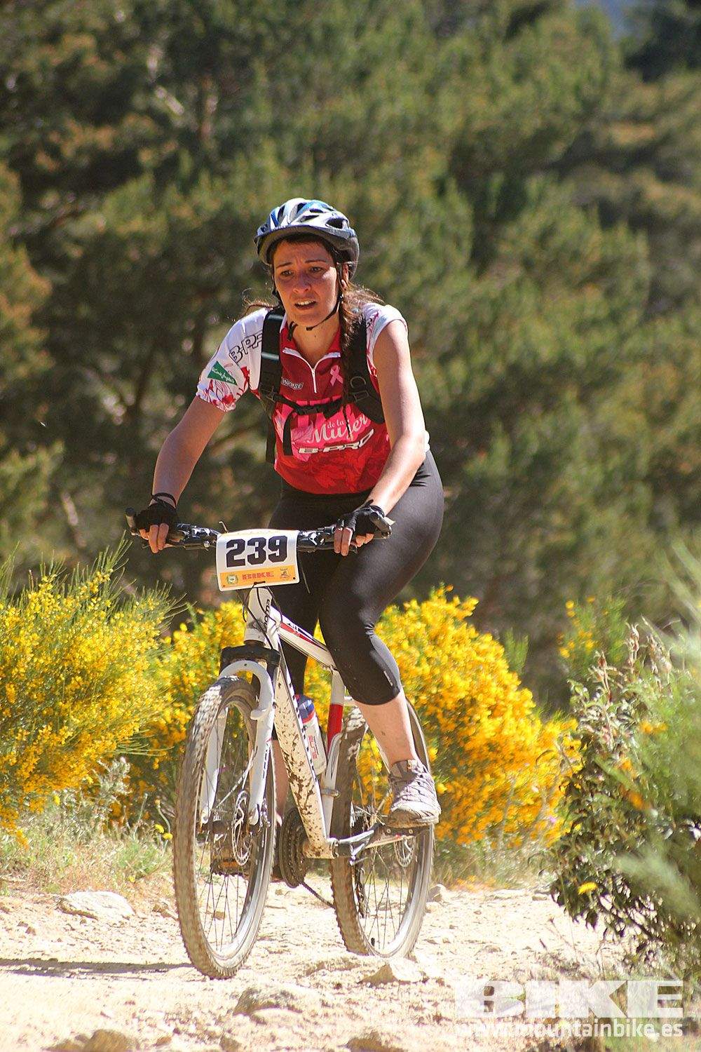 Test The Best 2015 MTB Mujer 4