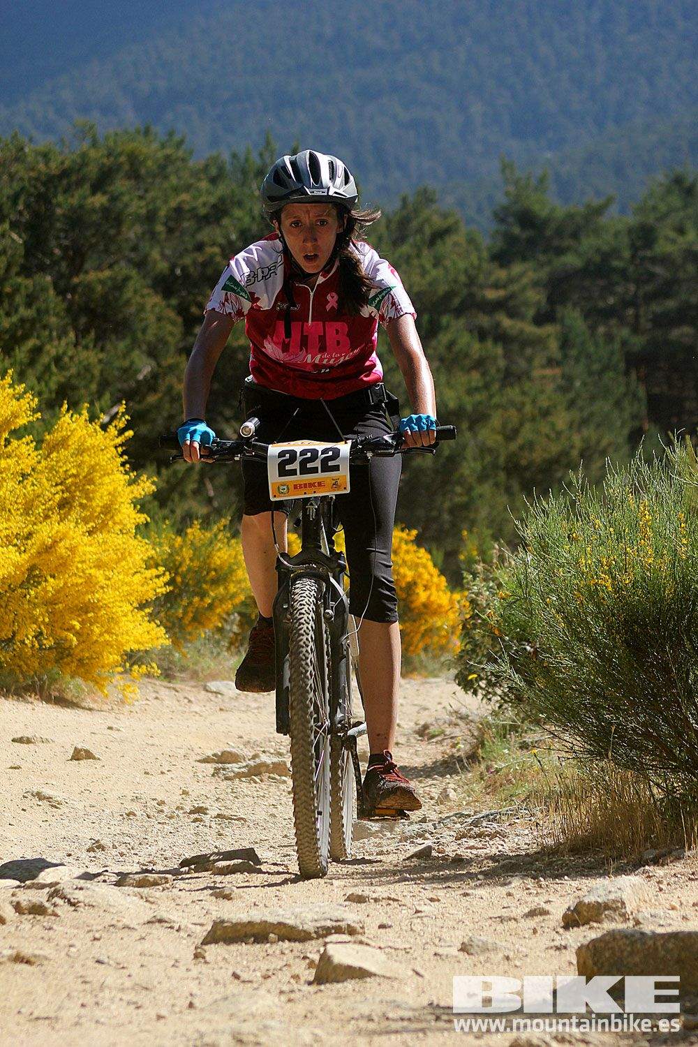 Test The Best 2015 MTB Mujer 4