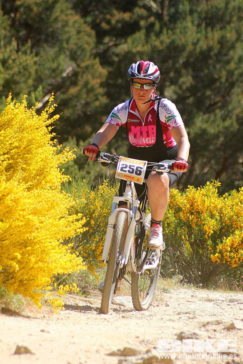 Test The Best 2015 MTB Mujer 4