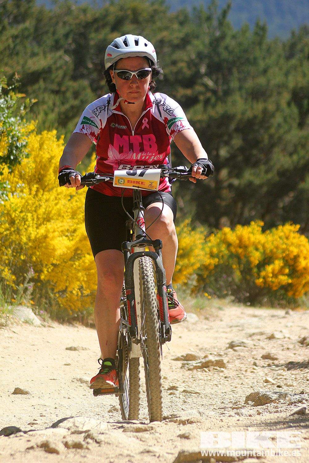Test The Best 2015 MTB Mujer 4