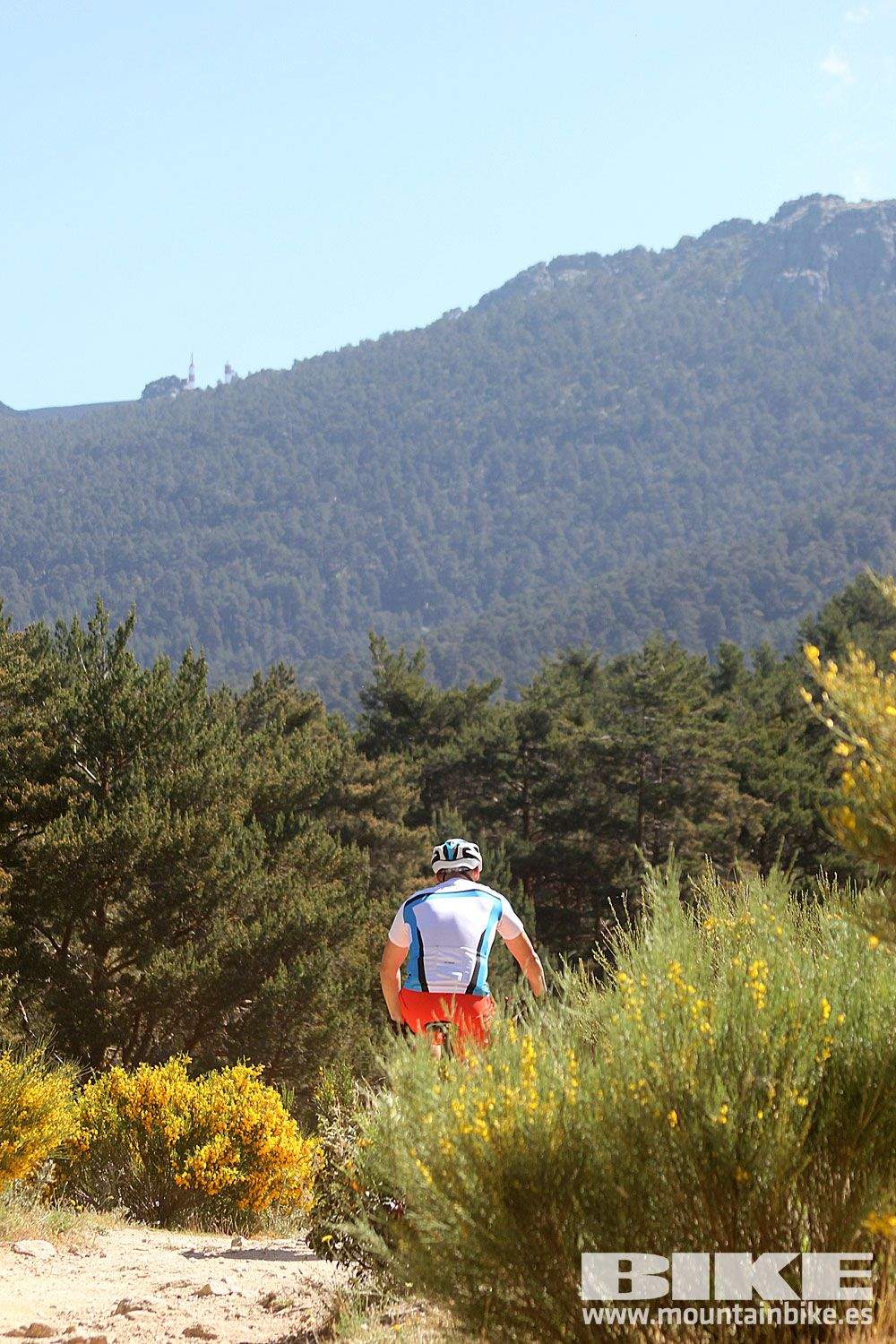 Test The Best 2015 MTB Mujer 4