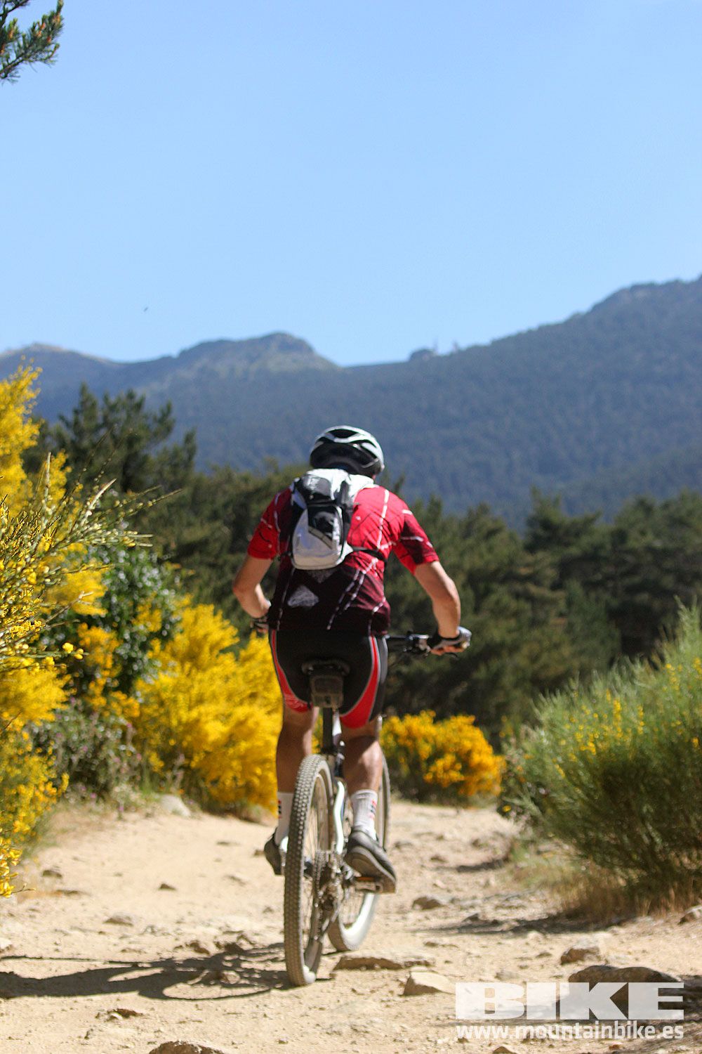 Test The Best 2015 MTB Mujer 4